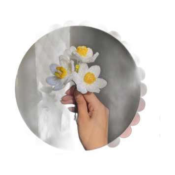 Narciso
