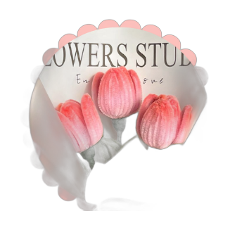 Tulipa